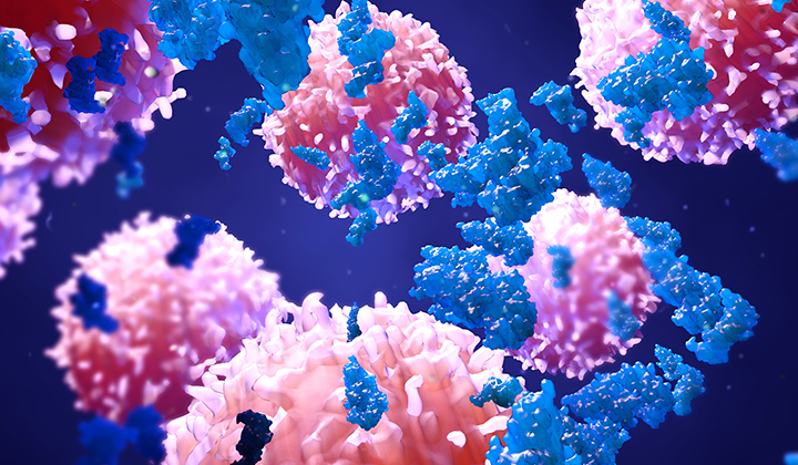 Enzyme greifen Krebszellen an