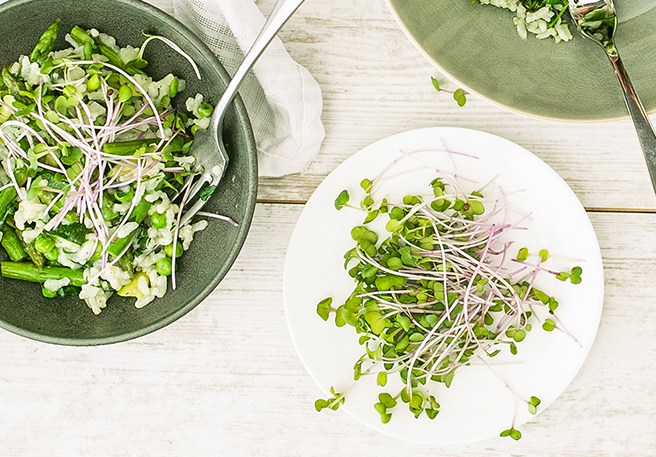 Histaminarmes Spargelrisotto